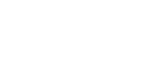 fv_icon